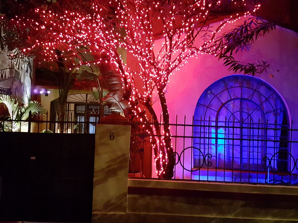 The Red Tree House An Oasis in Mexico City PinkPlayMags