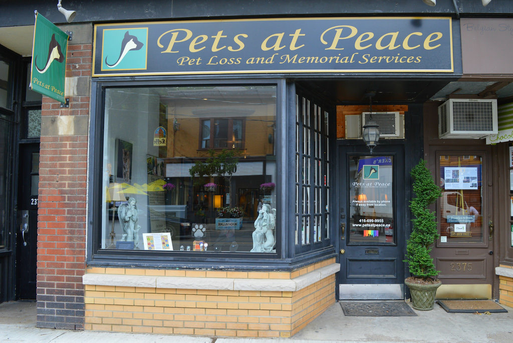 Pets at Peace_Pic 3 PinkPlayMags Pets at Peace_Pic 3 PinkPlayMags